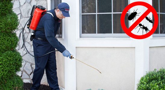 Dörtdivan Hamam Böceği İlaçlama böcek ilaçlama ve haşere kontrolü — ilaclama-tr.com